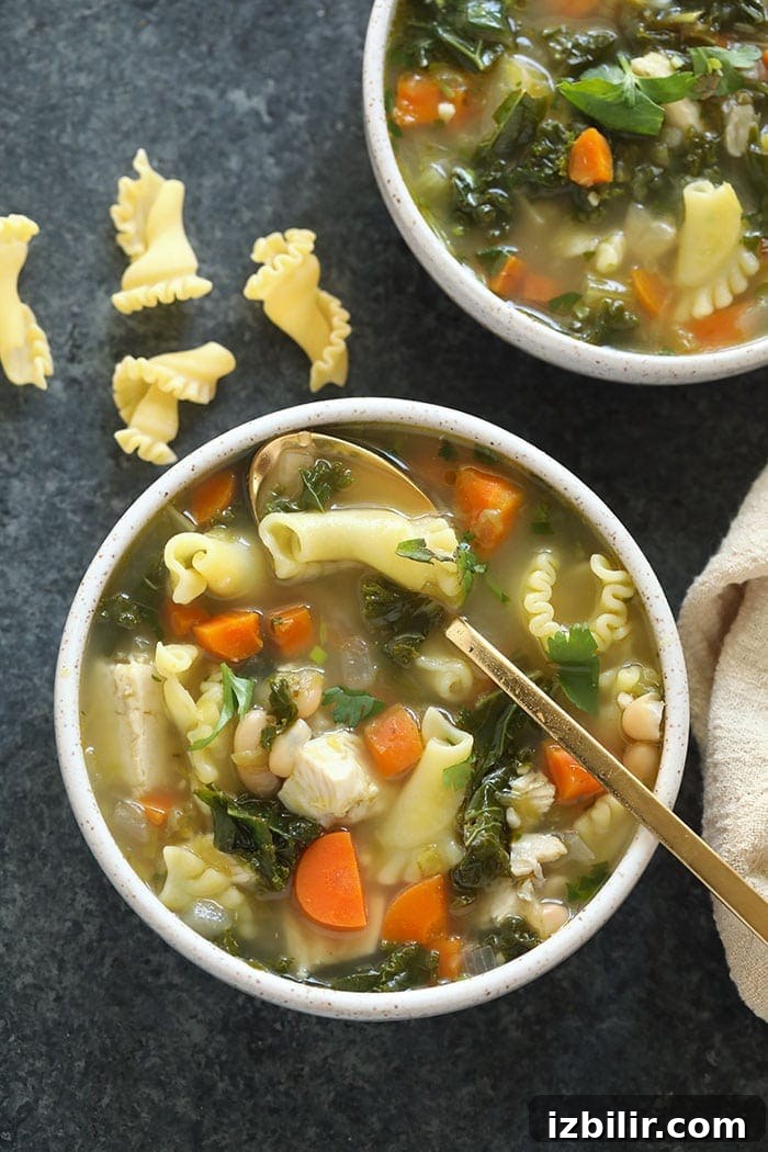 Spicy chicken noodle soup in a bowl