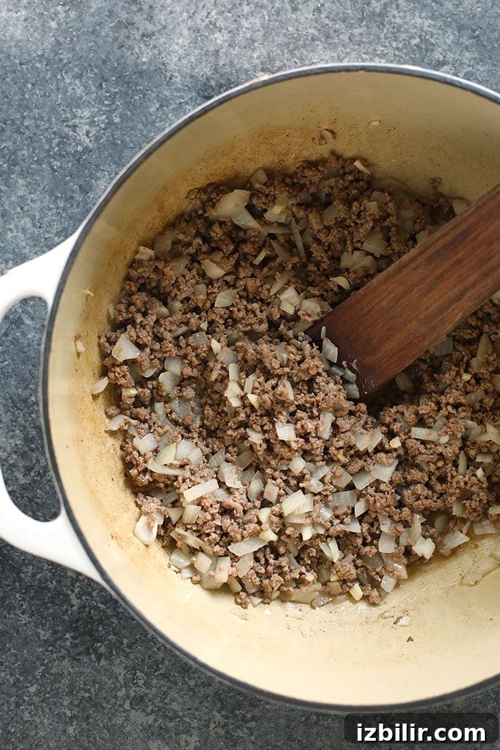 beef and onions in stockpot.