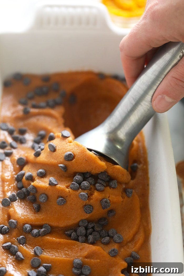 Nice cream made to taste like pumpkin pie? Heck yes! Made in less than 5 minutes, this vegan frozen treat tastes just like fall! scooping nice cream out of container