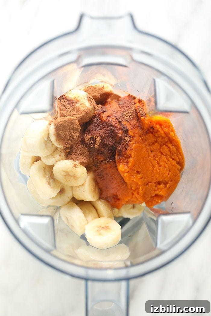 Nice cream made to taste like pumpkin pie? Heck yes! Made in less than 5 minutes, this vegan frozen treat tastes just like fall! ingredients in blender