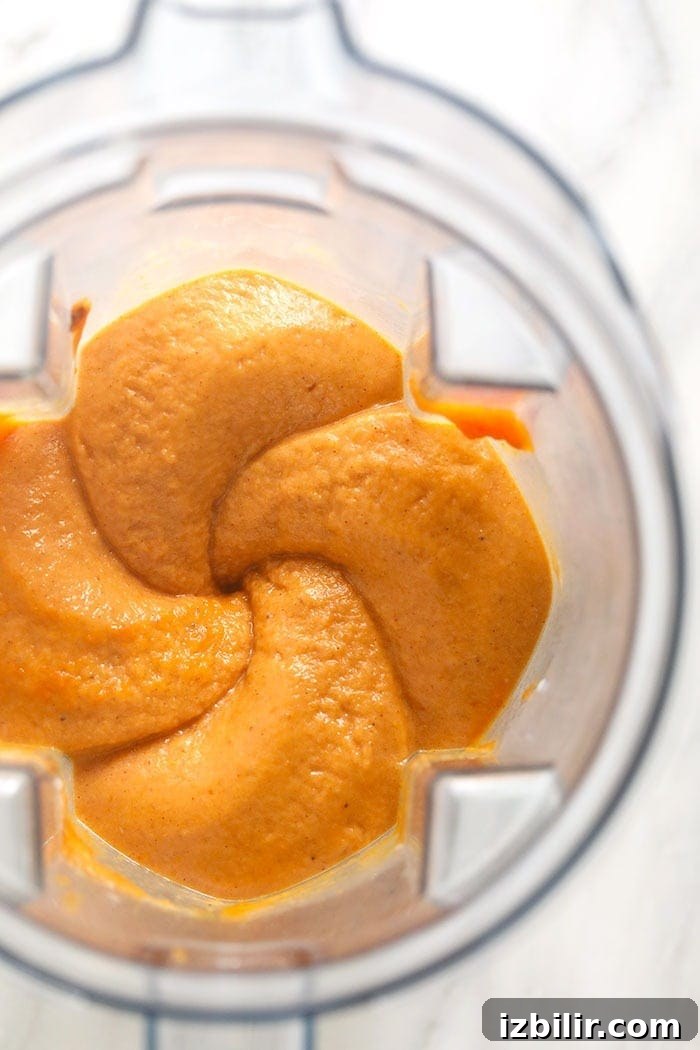 Blended pumpkin pie nice cream blended pumpkin pie nice cream