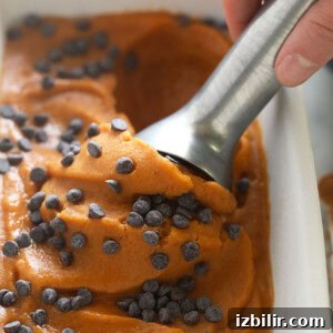 pumpkin nice cream