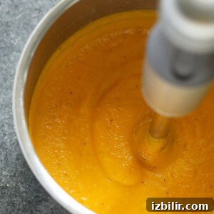 a bowl of butternut squash soup with seeds.
