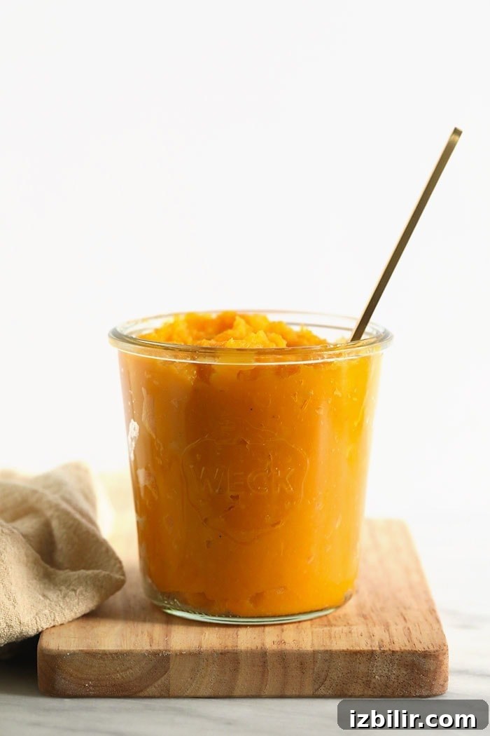How to Make Creamy Butternut Squash Puree 2 butternut squash puree in a jar