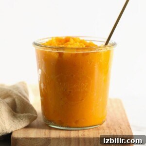 butternut squash puree in a jar