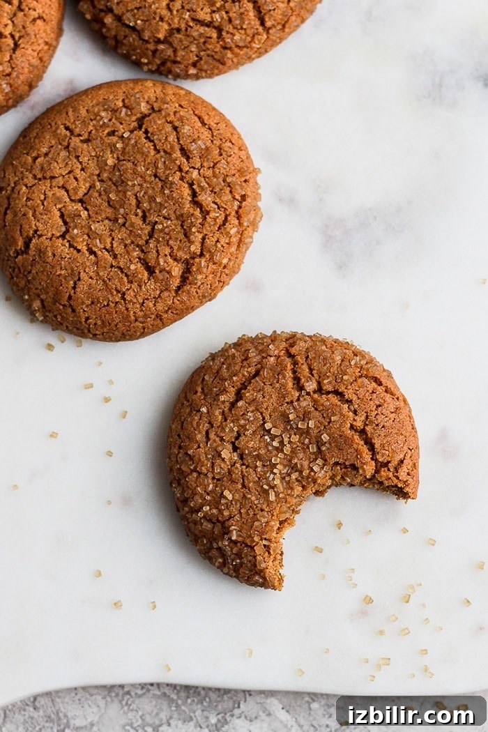 ginger cookie with bite taken out of it