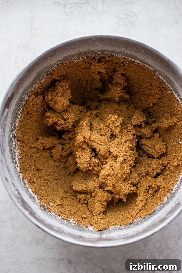 Ginger cookies dough