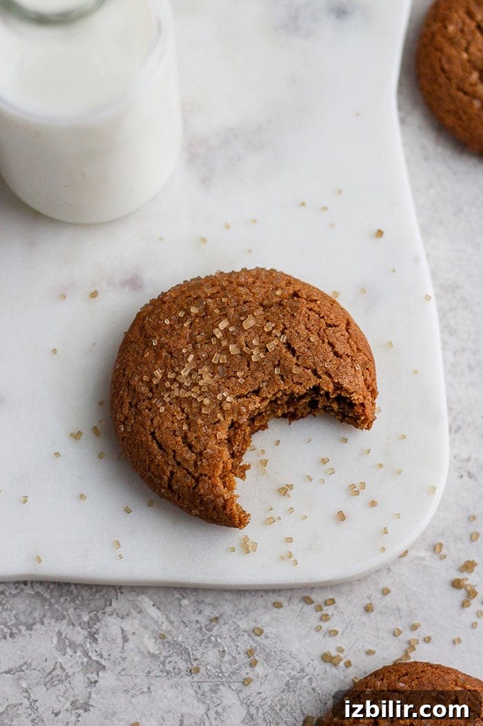 bite taken out of ginger cookie
