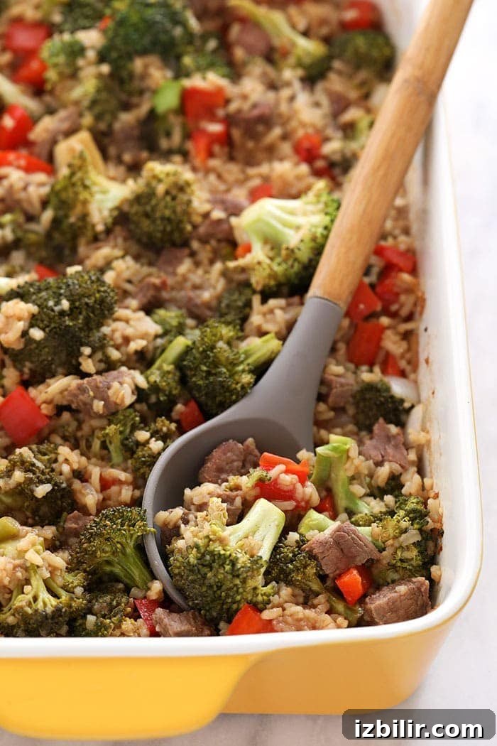 beef and broccoli with rice in dish