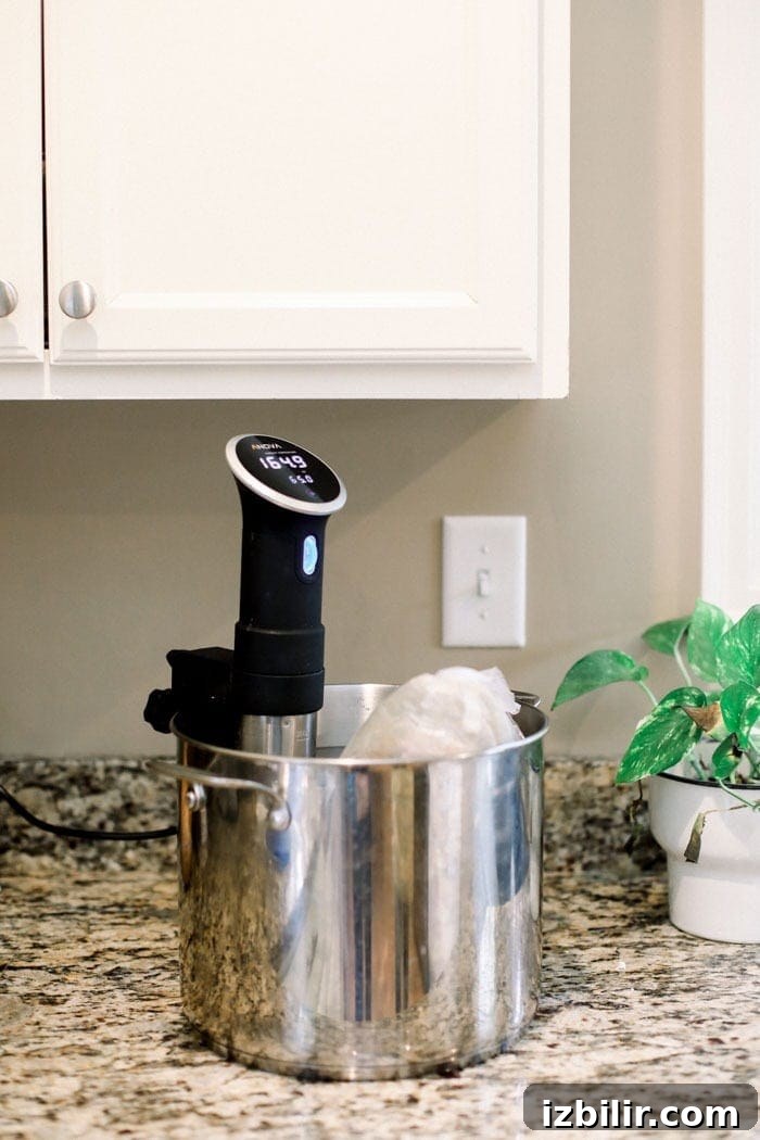 A turkey in a pot of water with a sous vide in the pot.