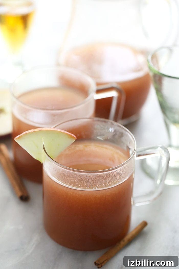 Hot Spiked Apple Cider with Bourbon and Cinnamon 5 spiked apple cider in a glass mug