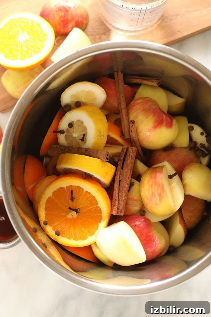 Apple cider ingredients in the Instant Pot