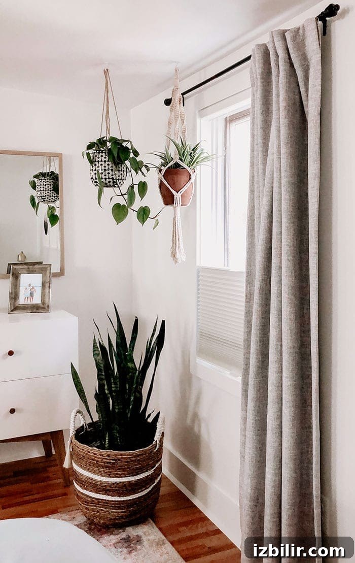 Loving our new custom window treatments -- Duette Collection of Honeycomb Shades by Hunter Douglas. hanging plants near window