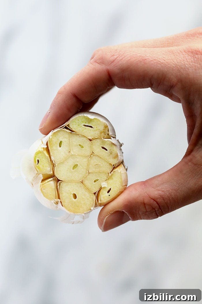 Roasting your own garlic could not be easier! fresh garlic bulb with the cloves trimmed