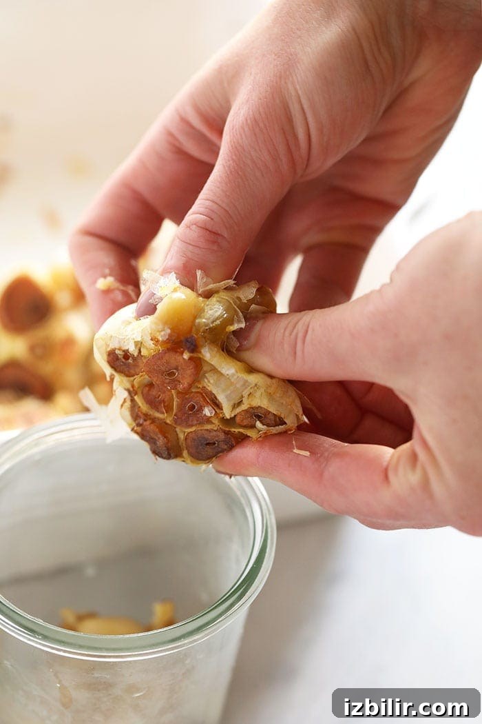 Pushing roasted garlic cloves out of the bulb pushing garlic cloves out of the bulb after roasting