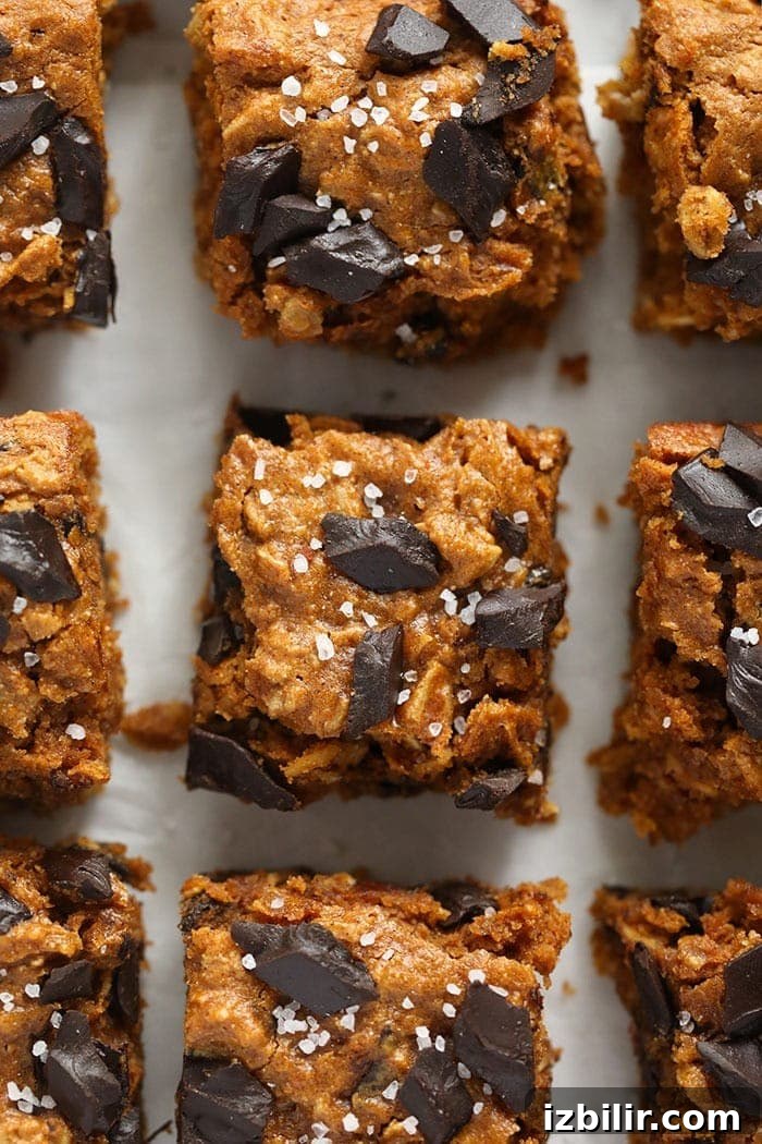 pumpkin cookie bars with sea salt on top