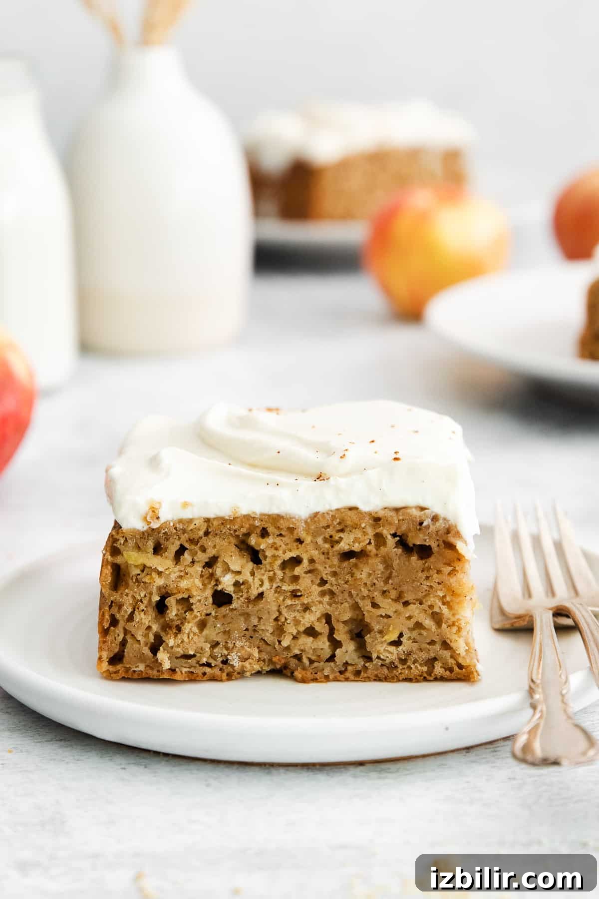 A piece of apple cake on a plate.