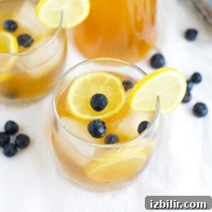Kombucha Lemonade Recipe: Sparkling Homemade Citrus Cooler 5 Two glasses of lemonade with blueberries, ice, and a twist of kombucha.