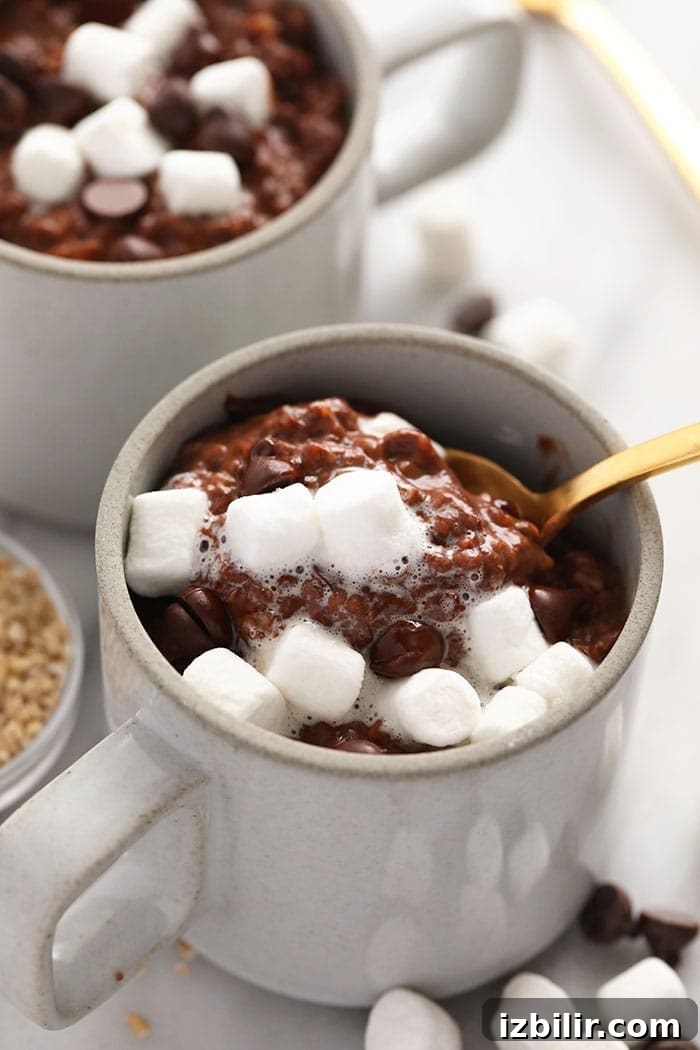 Hot Cocoa Steel Cut Oats hot cocoa steel cut oats in a mug topped with marshmallows