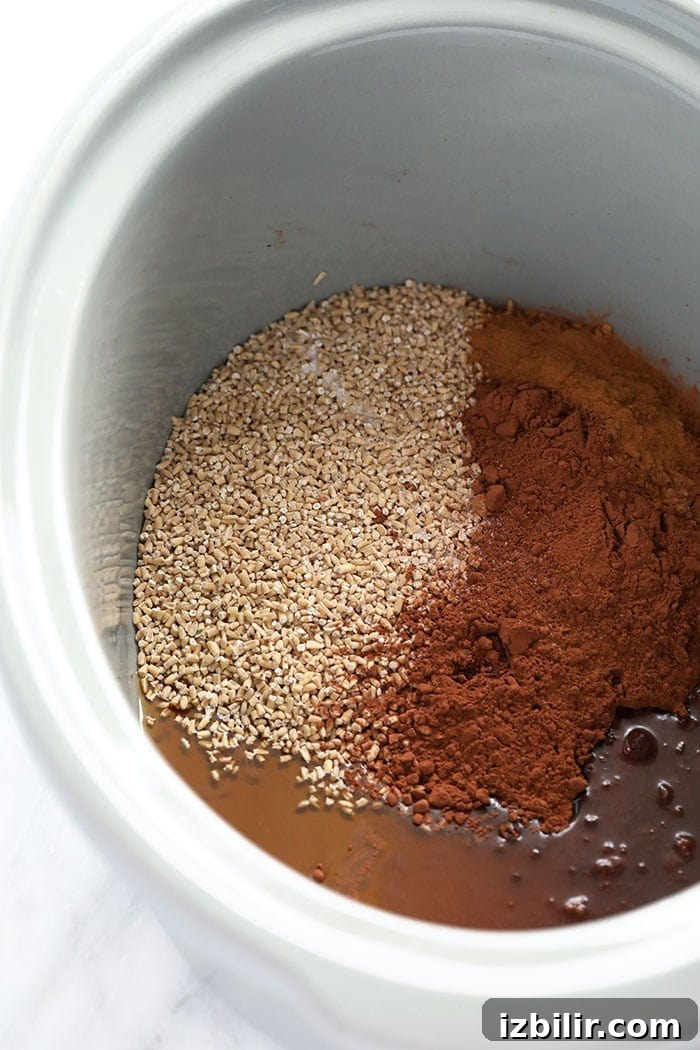 Ingredients for hot cocoa steel cut oats hot cocoa steel cut oats ingredients in a slow cooker