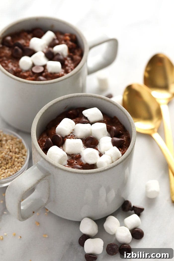 Hot cocoa steel cut oats served in mugs hot cocoa steel cut oats in mugs ready to be served