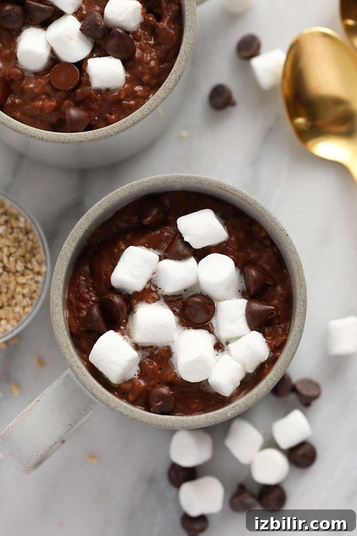 Hot cocoa steel cut oats topped with marshmallows hot cocoa steel cut oats in a mug topped with mallows