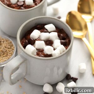 Hot Cocoa Steel-Cut Oats Recipe: Creamy Chocolate Oatmeal 2 hot cocoa steel cut oats