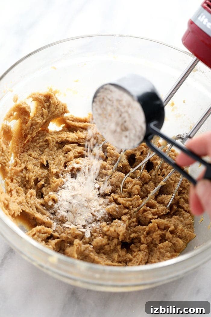 old fashioned oatmeal cookies batter