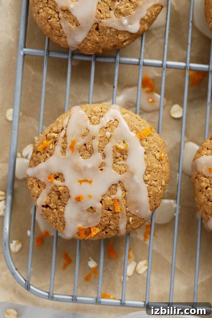 oatmeal cookie on drying rack
