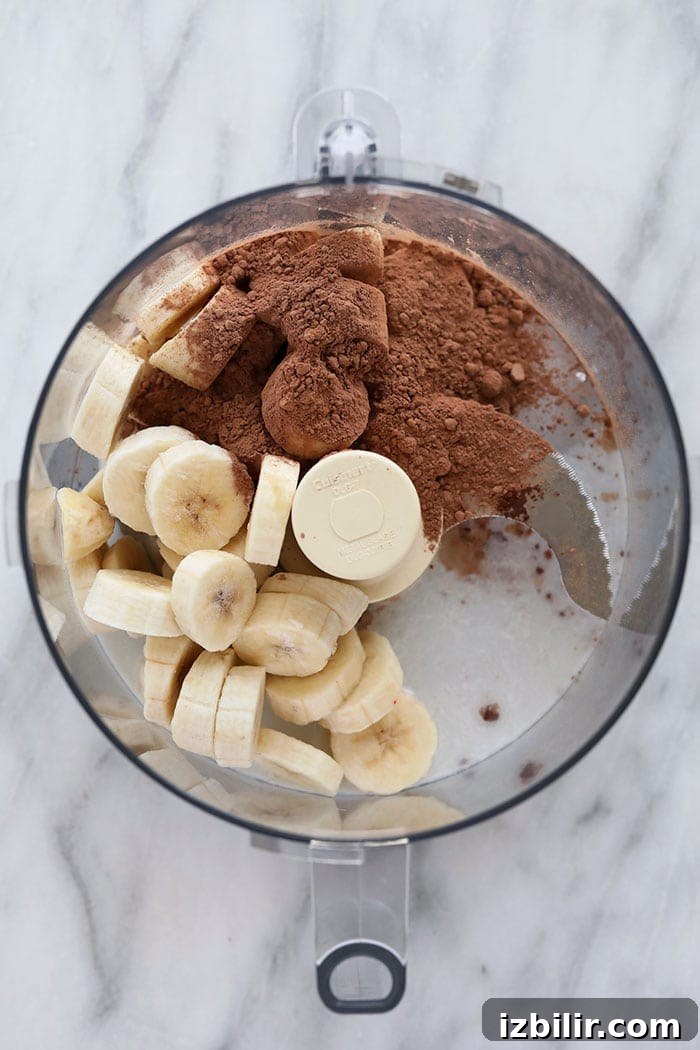 Chocolate Peppermint Banana Nice Cream Recipe 2 img 81156 2