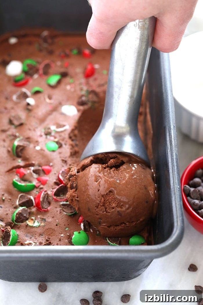 Chocolate Peppermint Banana Nice Cream Recipe 3 scoop of nice cream in tin