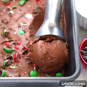 Chocolate Peppermint Banana Nice Cream Recipe 5 banana nice cream in tin