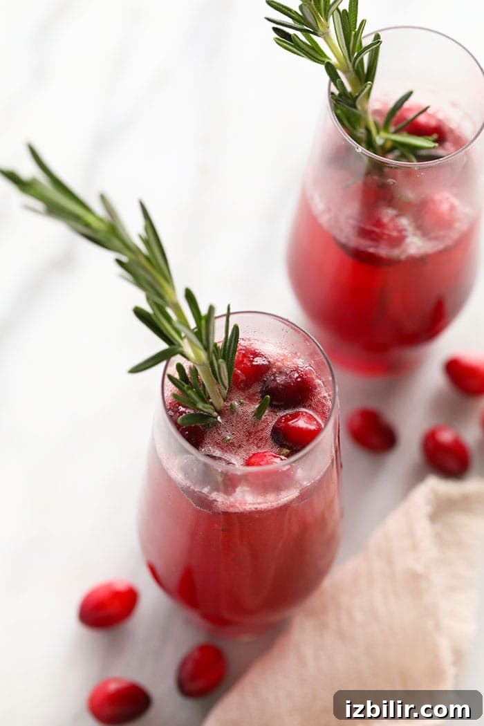 Cranberry mojitos in a glass