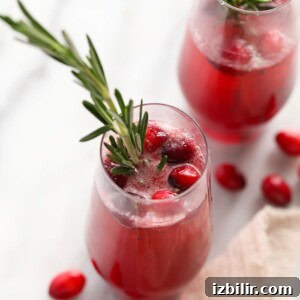 Two glasses with cranberries and rosemary sprigs.