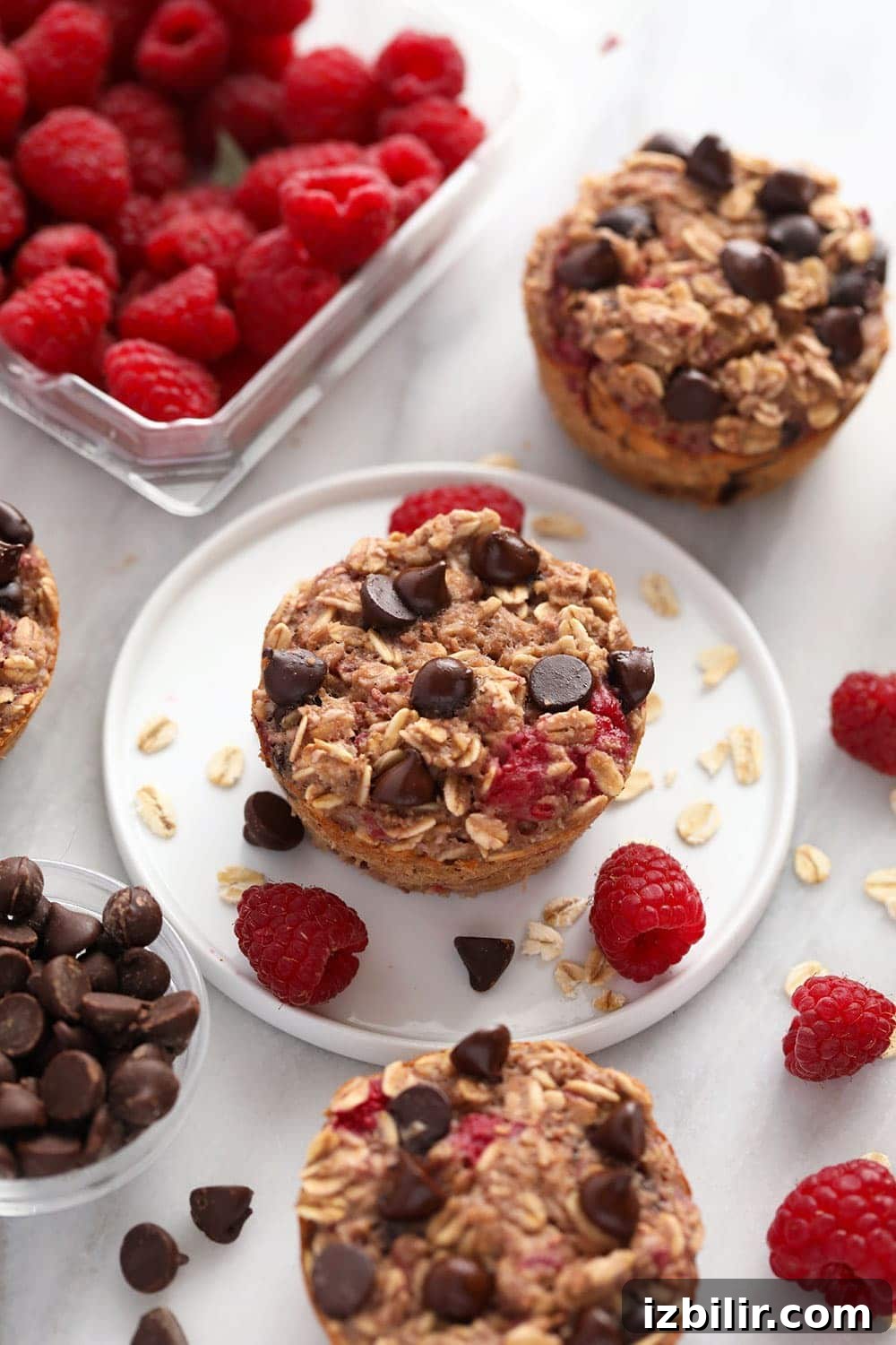 Single raspberry chocolate chip oatmeal cup oatmeal cup on plate