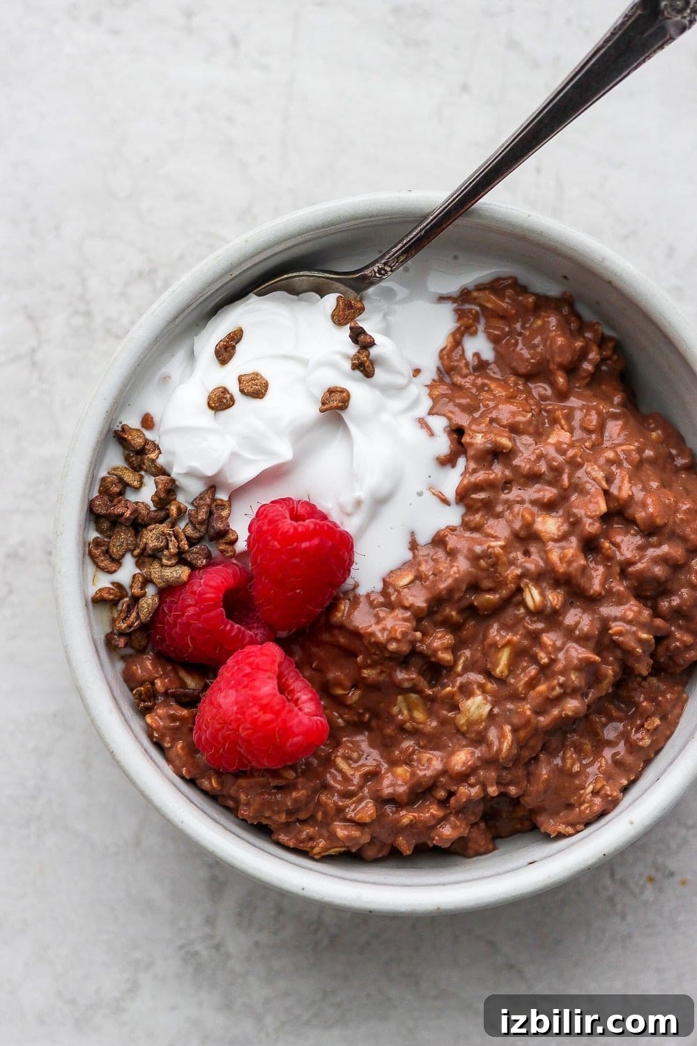 Chocolate Protein Oatmeal Recipe 2 chocolate sea salt protein oatmeal in a bowl