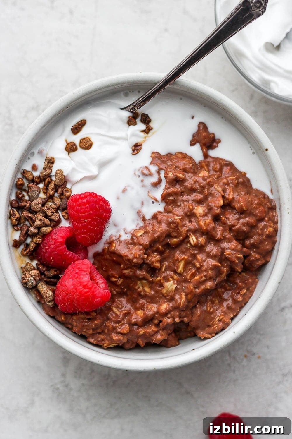 Chocolate Protein Oatmeal Recipe 8 chocolate sea salt protein oatmeal in a bowl topped with raspberries