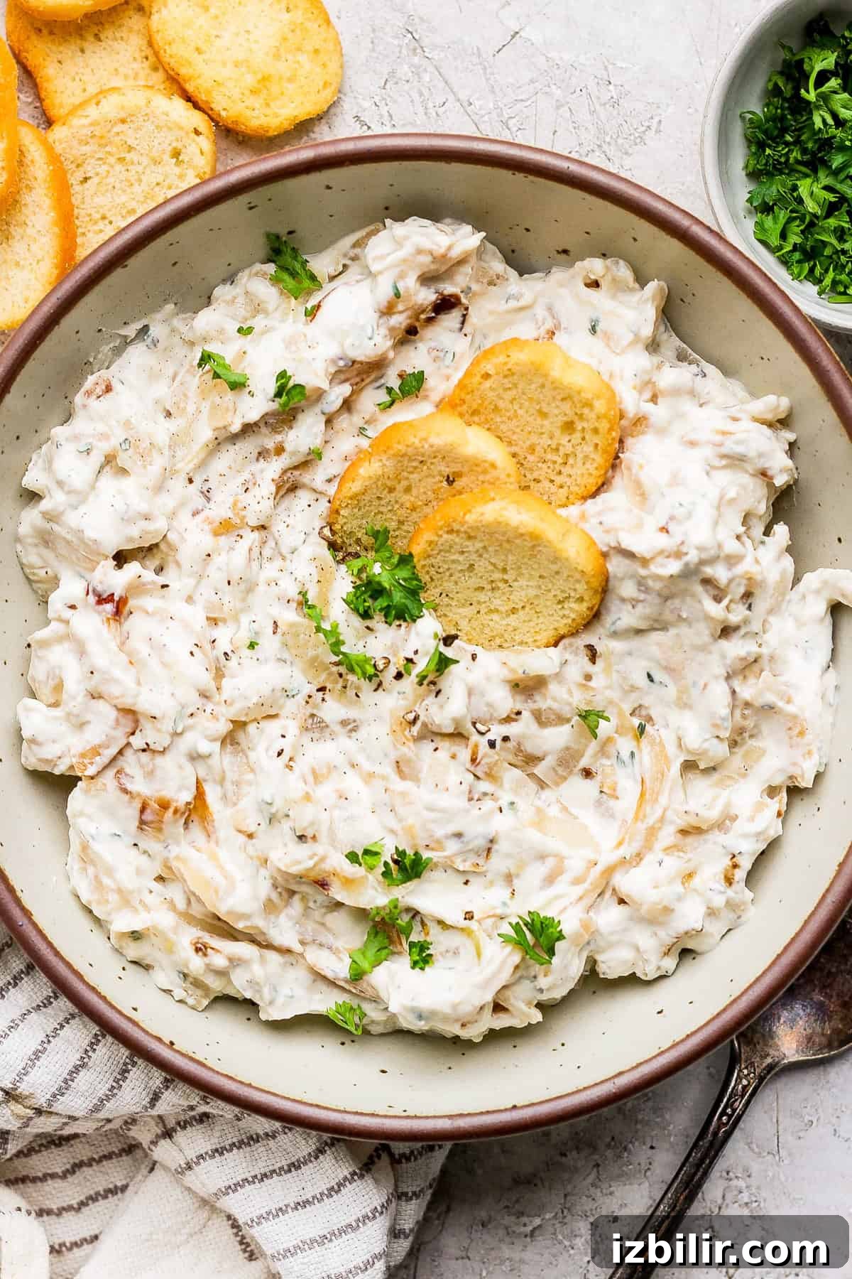 Caramelized Onion Dip with Roasted Garlic A bowl of creamy dip topped with herbs and three round crackers, placed on a textured surface with more crackers and a side of chopped parsley.