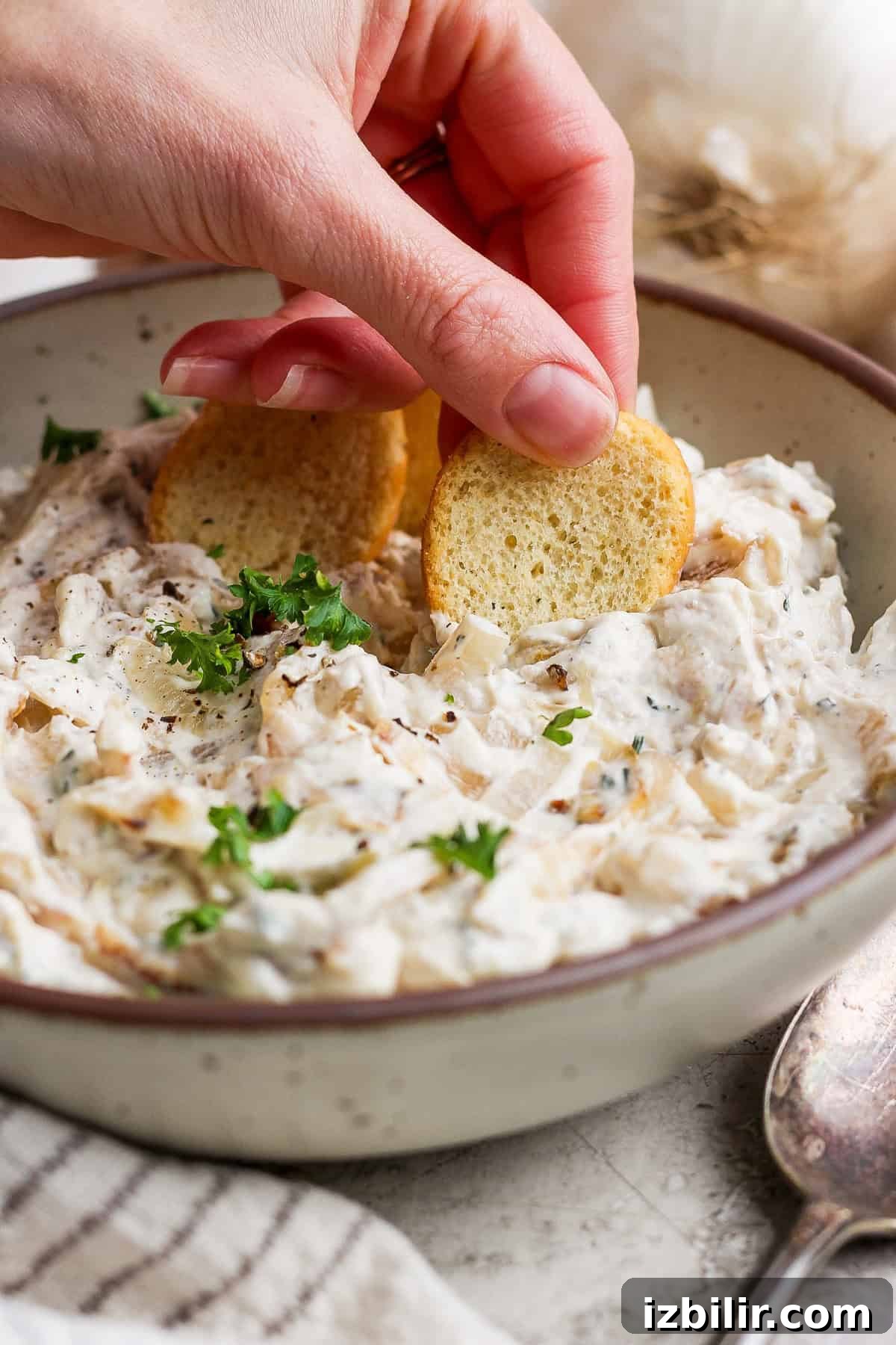 Dip served with crackers A hand dipping a small round cracker into a bowl of creamy dip garnished with parsley.