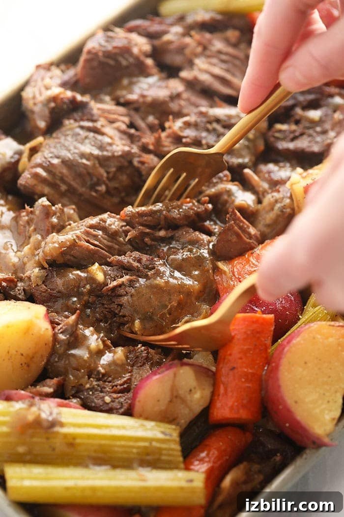 Shredded pot roast instant pot pot roast being shredded