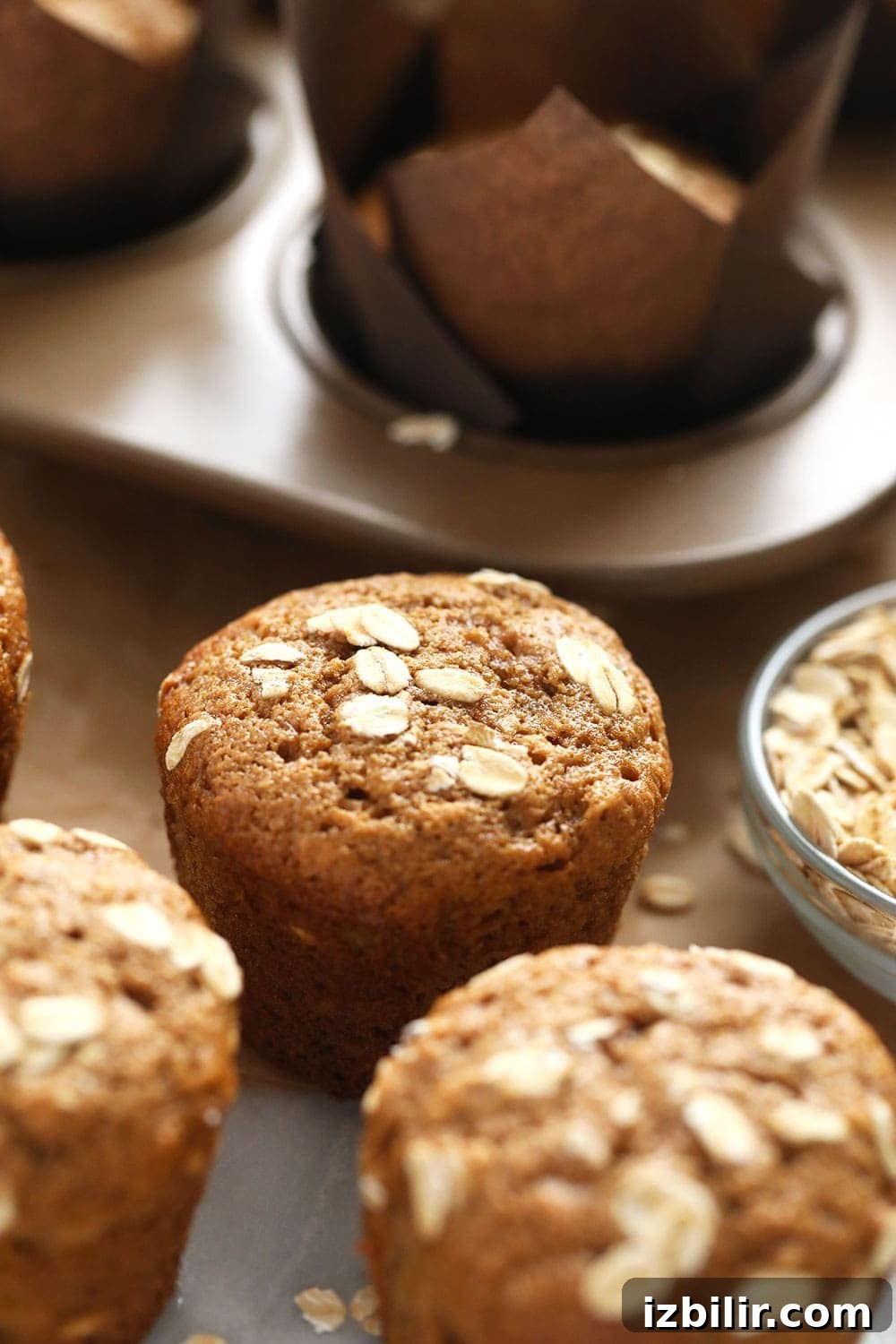 Classic Oatmeal Muffins classic oatmeal muffins topped with rolled oats