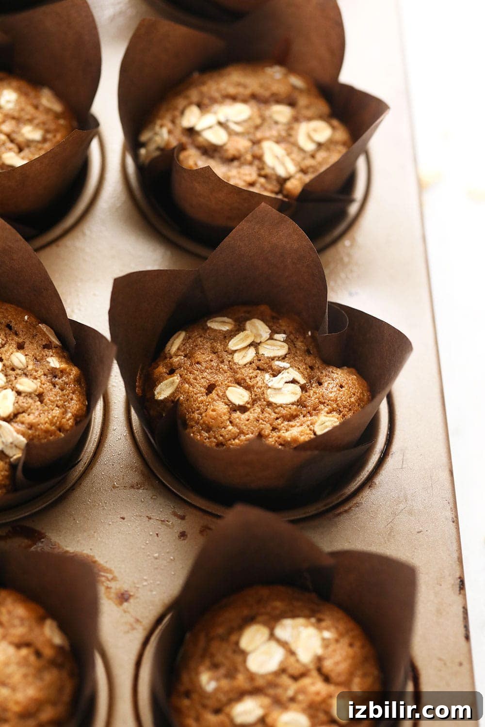 Baked oatmeal muffins classic oatmeal muffins in a muffin pan after baking