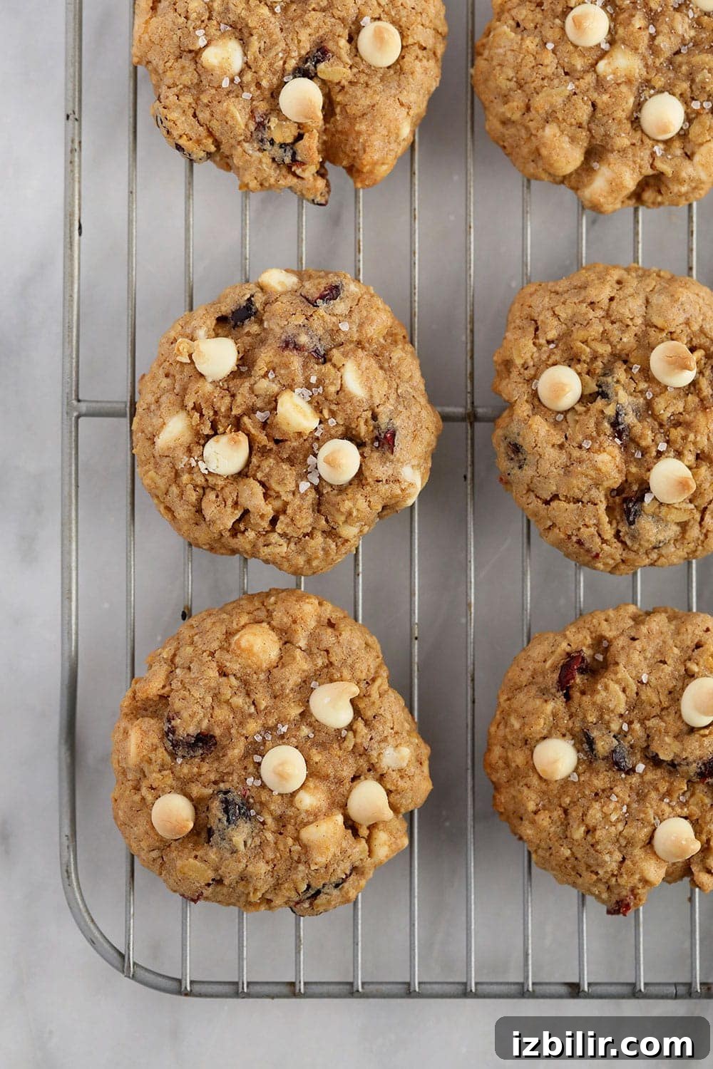 Cookies cooling on a rack white chocolate cranberry oatmeal cookies on a cooling rack