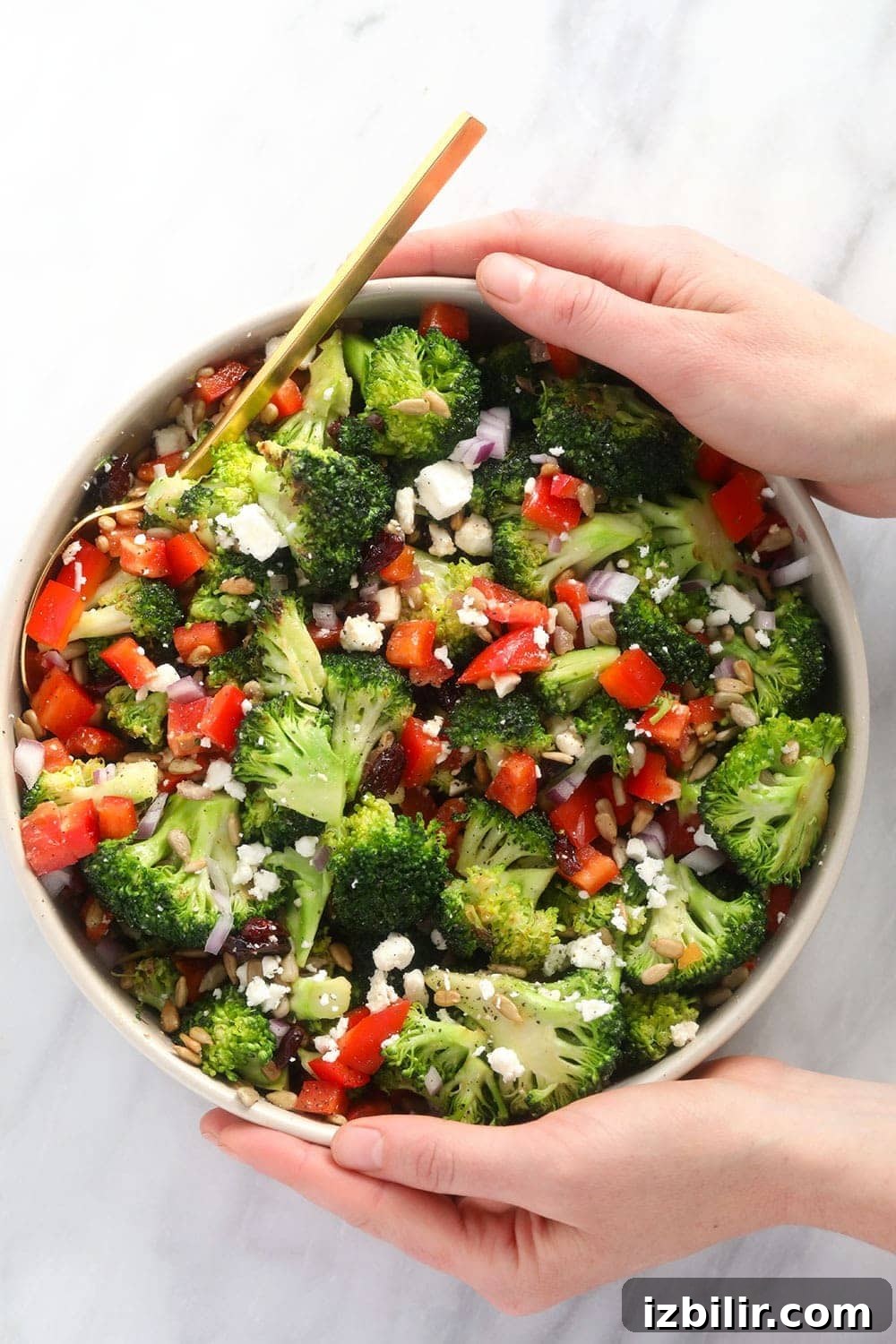 Broccoli Salad broccoli salad in a bowl ready to be served