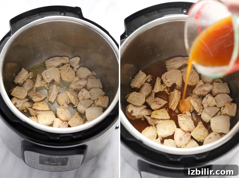 Chicken in the Instant Pot Chicken in the Instant Pot