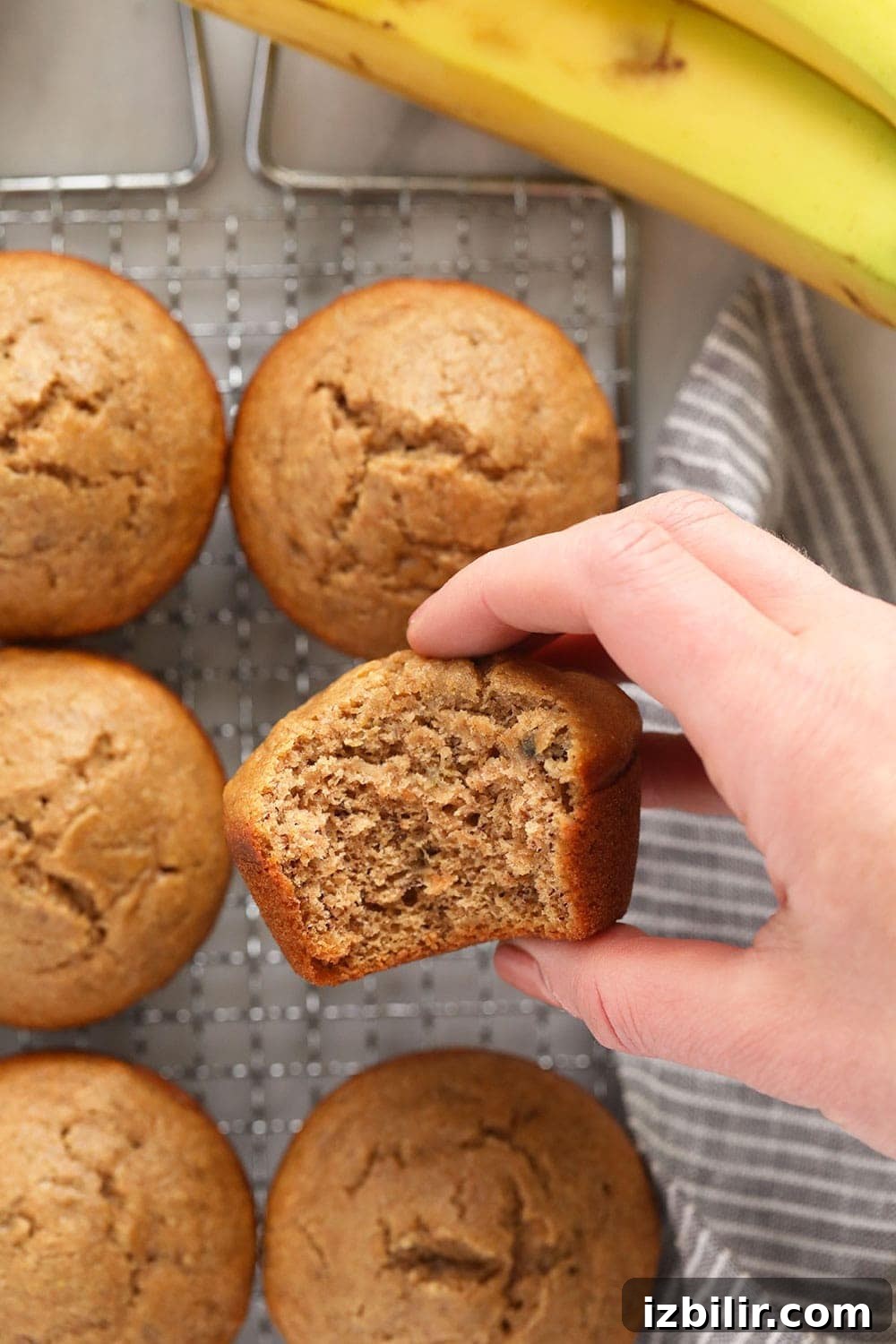 hand holding muffin