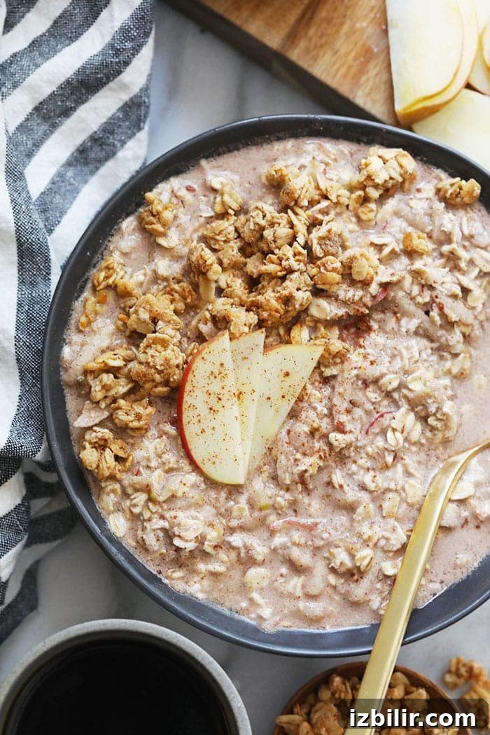 Apple Cinnamon Overnight Oats topped with sliced apple apple cinnamon overnight oats in a bowl topped with apple slices