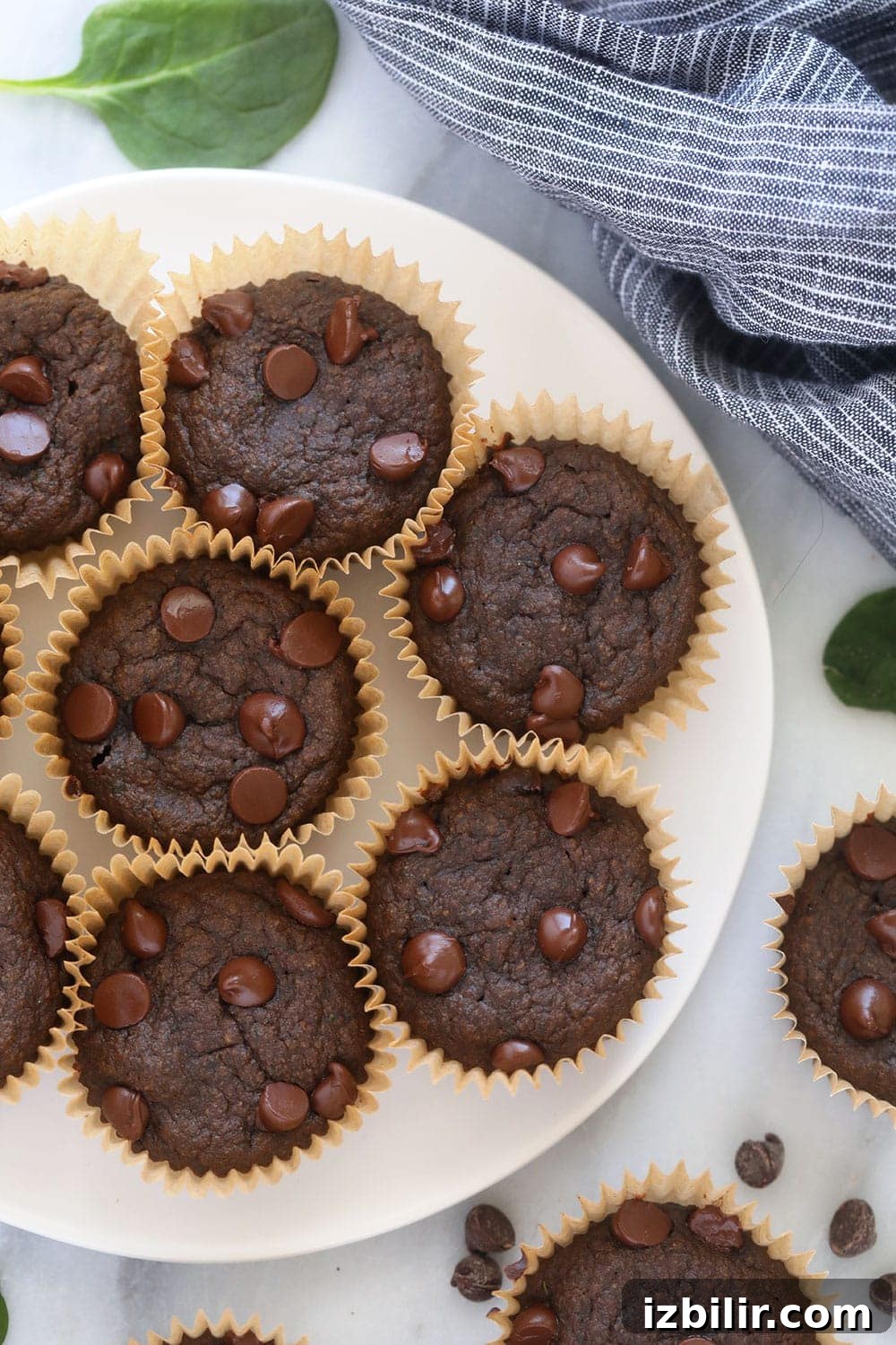 Sneaky Spinach Chocolate Chip Muffins Sneaky Spinach Chocolate Chip Muffins on a plate
