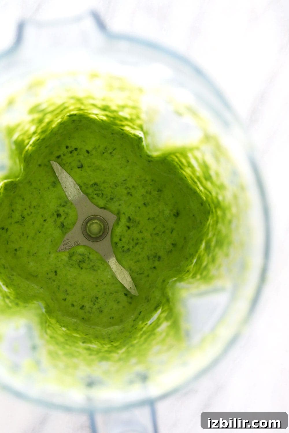 Blended Spinach in a blender Blended Spinach in a blender