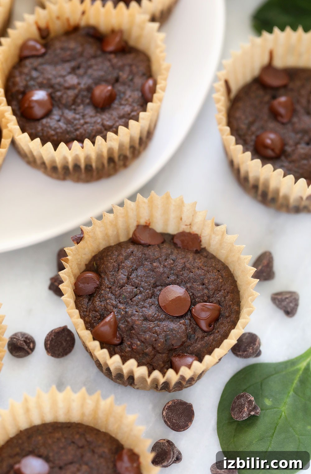 Finished chocolate chip muffins Finished chocolate chip muffins